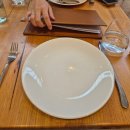 BUBBLE PARK | 🇦🇺 [시드니 7박 8일] 02. 하루종일 투어 뿌셔 | 페더데일 동물원 오픈런 후기 / 블루마운틴 투어 후기