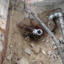 광성주유소 이미지