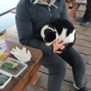 와따좌대낚시터 이미지