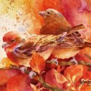 컬러풀 수채화 이미지