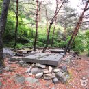 국립가리왕산자연휴양림 이미지