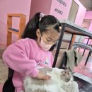 고양이살롱앤카페 | 고양이카페ㅡ살롱앤카페