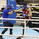 청양군민체육관 이미지