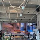 장범준 콘서트 | 장범준 게릴라 콘서트 브런치쇼 (in 대전) 후기