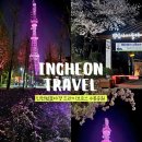 스카이네비 | 아직도 벚꽃만개인곳이 있다고? 인천 벚꽃야경 드라이브코스 수봉공원 스카이워크 후기, 주차