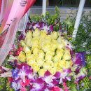 회원세탁 이미지