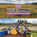미래가든 | 2025 대구정원박람회 방문후기 하중도 꽃밭 산책과 무료체험 즐기는 방법