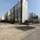 금낭화로23길 이미지