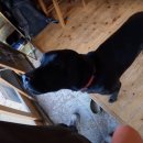 토이 게스트하우스 이미지