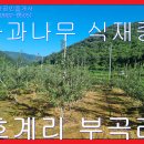 부곡리부동산공인중개사사무소 이미지