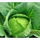 125활인건강 이미지