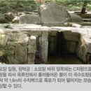 왕의 정원 이미지