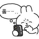 엠.제이 인터내셔날