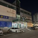 미니주동물병원 | 수원 카페브릿지, 수원 강아지 운동장, 애견카페 내돈내산 방문 후기