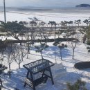 판타루시아 | 대부도펜션 서울근교펜션 | 감성적인 휴식이 가능했던 판타루시아 후기