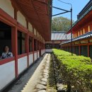 사니정원 이미지