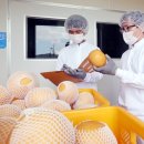 백수영농조합법인 이미지