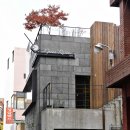 그린라빈 이미지