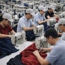 국립순천대학교 일반대학원 | 국립순천대학교 그린스마트팜스쿨 단체복 그린 야구점퍼 과잠바 제작 후기 하나더