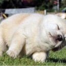 뽀송뽀송 이미지