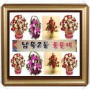 남목2동 이미지