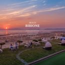 비비오네 이미지