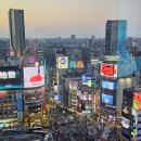 (야간)힐링 타로여행-기초반 | 도쿄 사진 명소 TOP10 | 인스타 감성 도쿄 여행 스팟 총정리