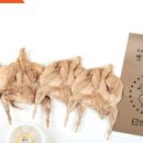 건강한 펫 이미지