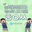 눈의꽃성형외과의원