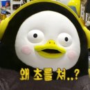 소소림