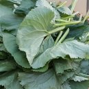 온다네민박 이미지