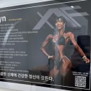 272-1027 | 권잭의 원정운동! 종로 을지로 헬스는 어메이징 휘트니스 종로점에서, PT는 린 팀장님과 상담해보세요