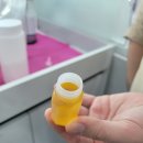 멍멍아 스파가자 이미지