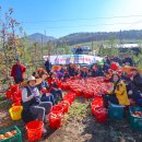 해전농장 이미지