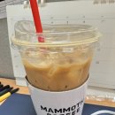 매머드익스프레스국민대