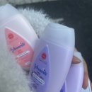 59피자 도당동 강남시장점 | [2026.02] 직장인 2월 일기｜강원도 1박2일 여행, 대관령 눈꽃축제·강릉 주문진까지