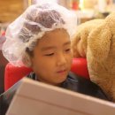 강아지 공화국 이미지