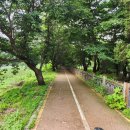 한옥촌신선마을 이미지