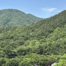 전주 근교 감성 한옥카페, 아원고택 갤러리카페 후기 | 미술관+인생샷 스팟까지!