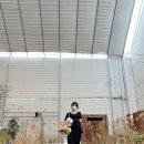 빵궁전