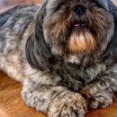 사랑궁한정식 | 전주 한정식 맛집 추천 10선