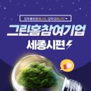 태명솔라