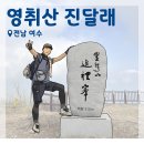돌고개로 | [여수 영취산 진달래꽃 산행] 돌고개 주차장 - 가마봉 - 진례봉 - 시루봉 - 봉우재 - 원점회귀 등산코스