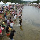 괴산고추축제 이미지