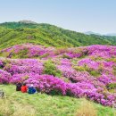 지리산(남원) 허브밸리 &amp; 철쭉꽃 군락지 산행안내 이미지