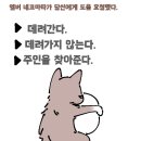 엠버즈 이미지