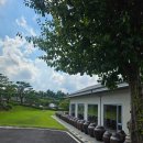 솔리,자운 이미지