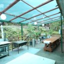 숲속의 하얀집 이미지