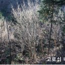 목우농장 이미지