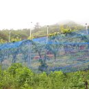 윤성농장 이미지